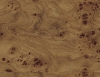 Плёнка с/к Дерево (8м-45см) W1303*24