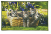 Коврик FANTASY icarpet 50*80 005
