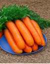 Семена Морковь ГРАНУЛЫ Нантская Улучшеная ГЕЛЕВОЕ ДРАЖЕ 