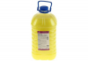   5 Diona Citrus E 
